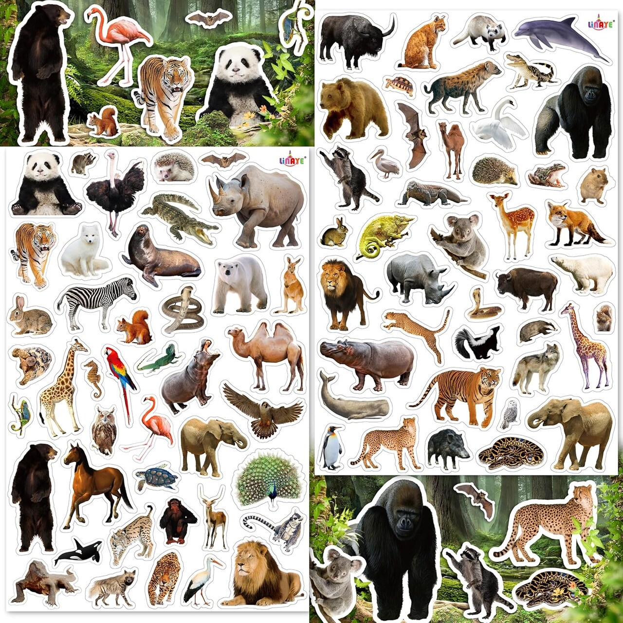 1032PCS Jungle Animal Stickers for Kids – 24 Sheets Safari Zoo Animal Stickers for Scrapbooking, Water Bottles, Laptops, Envelopes & Party Decorations